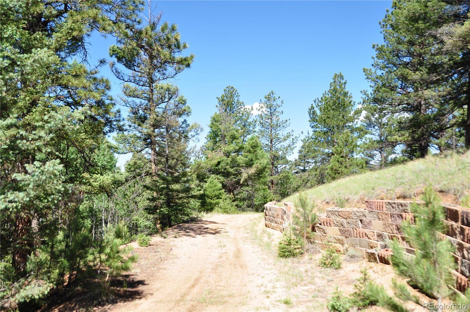 Divide, CO 80814,1271 Rangeview RD