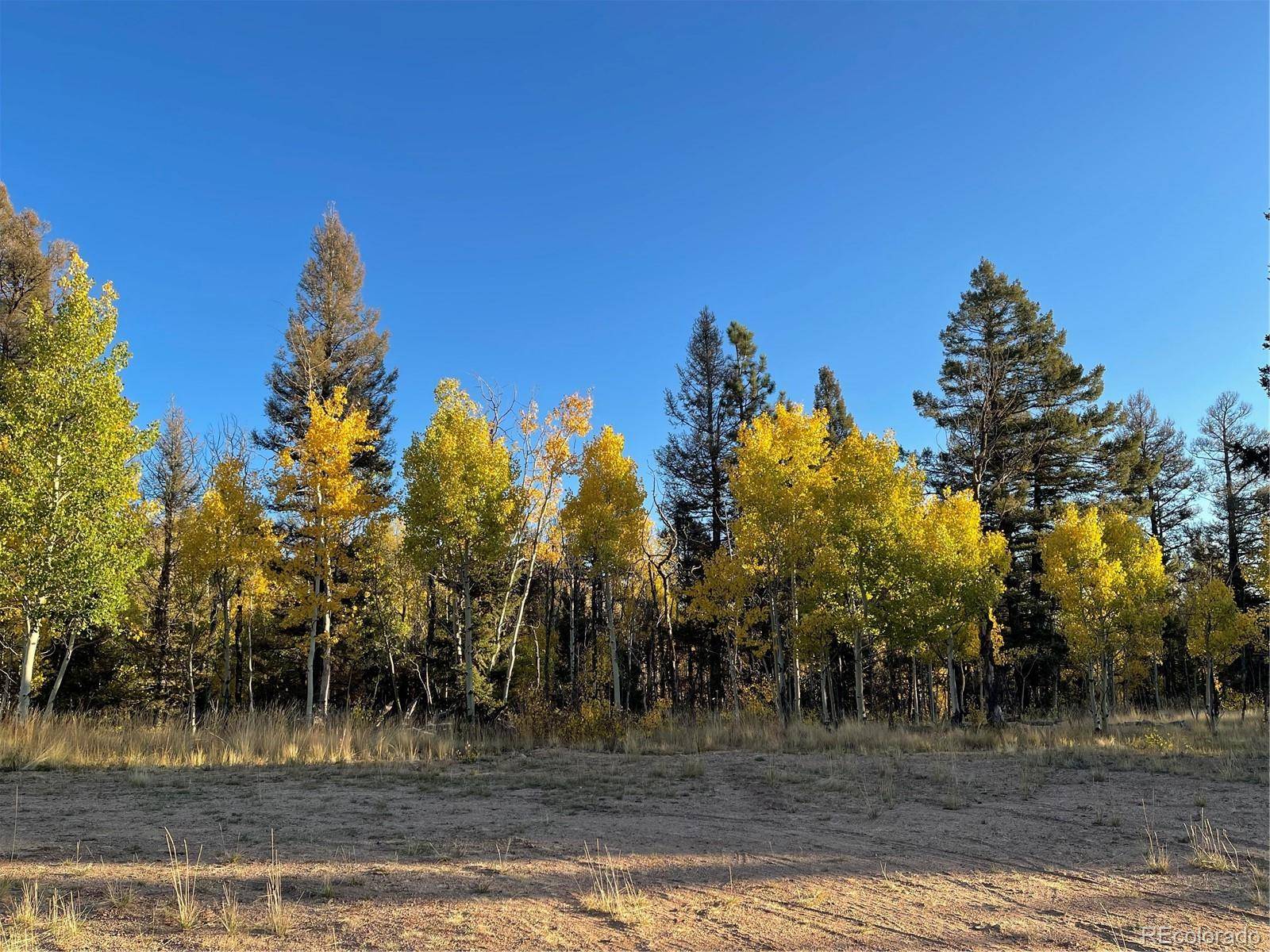 Florissant, CO 80816,126 Cheyenne WAY