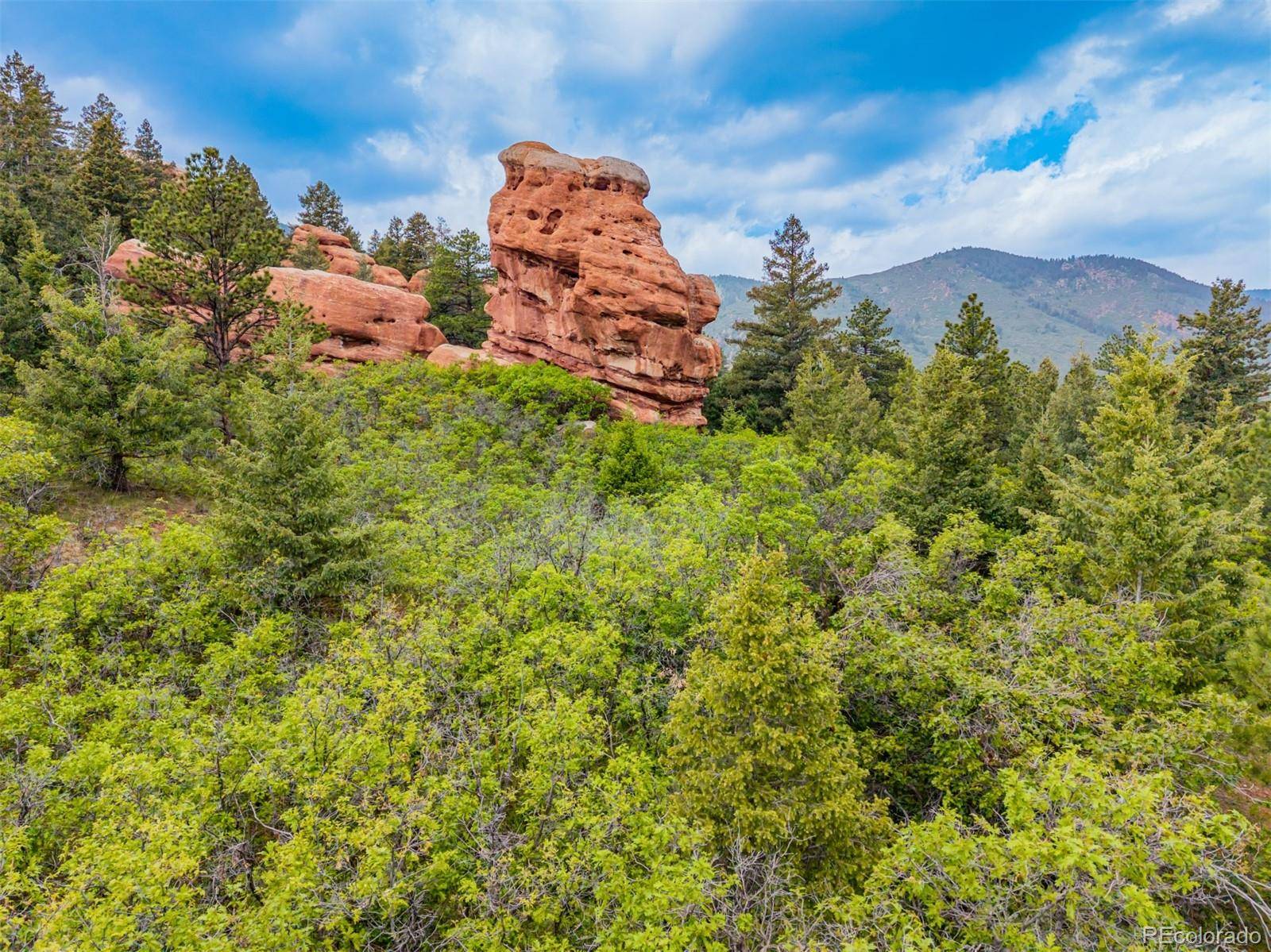 Larkspur, CO 80118,6438 Thunderbird RD