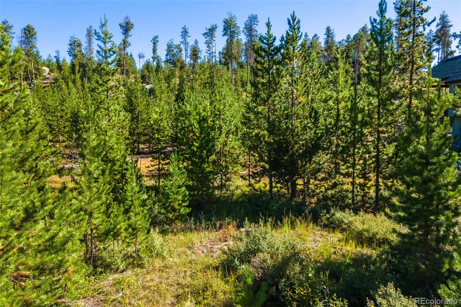 Grand Lake, CO 80447,51 GCR 6621