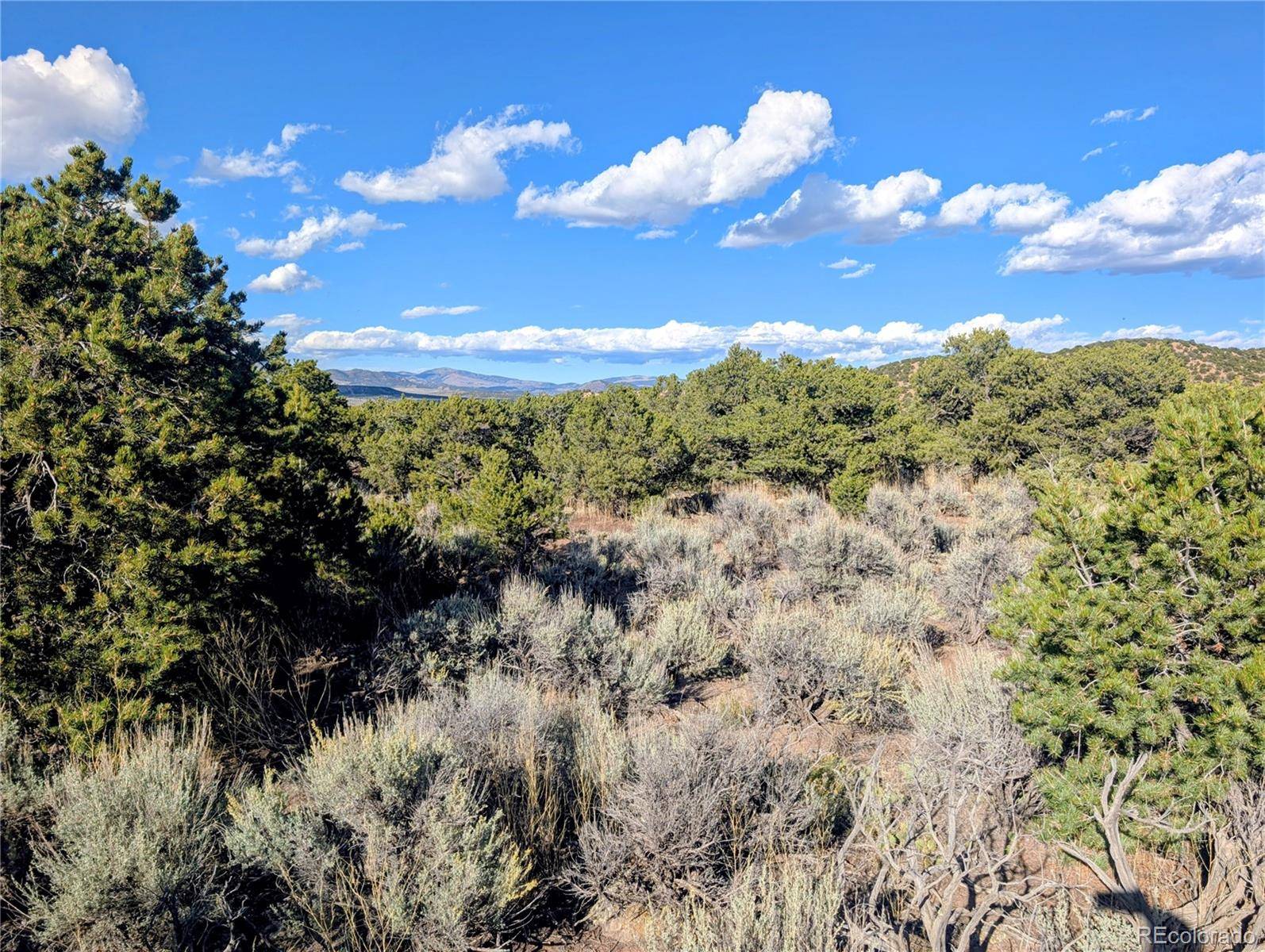 Fort Garland, CO 81133,Lot 2434 Simone RD