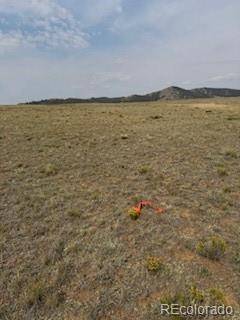 Hartsel, CO 80449,1186 Mesa RD