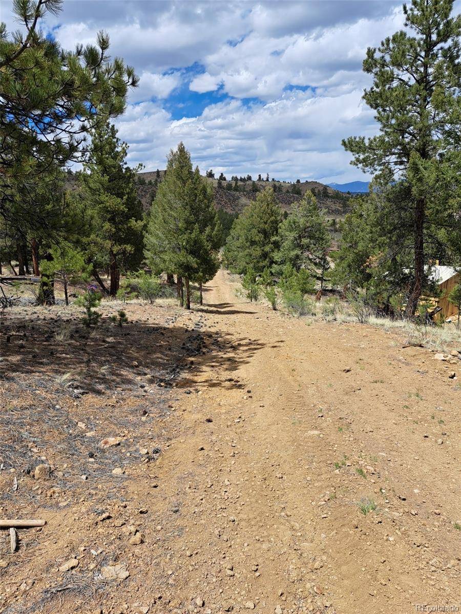 Hartsel, CO 80449,0 Spring ST
