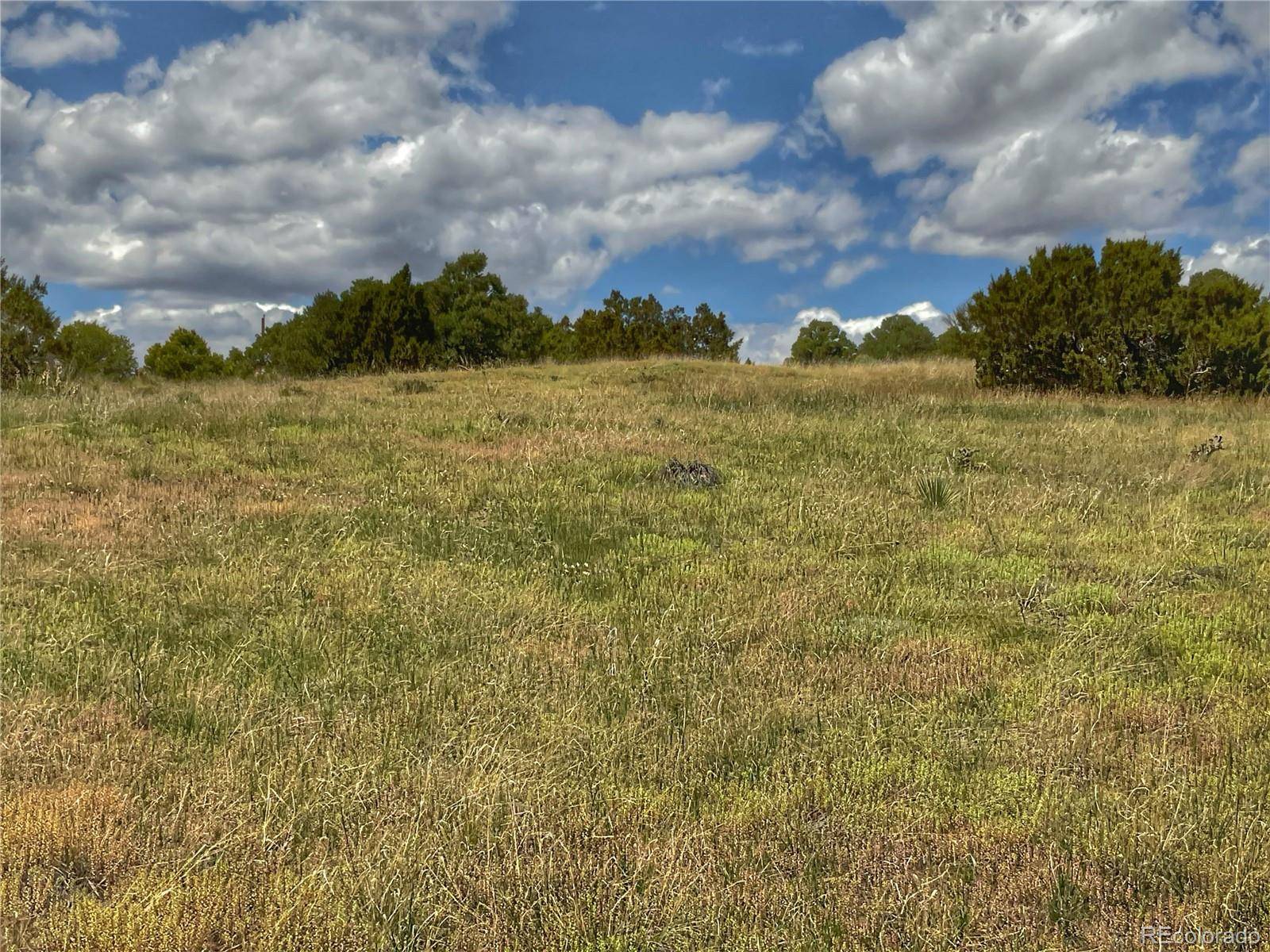 Walsenburg, CO 81089,Lot 25 Comanche DR