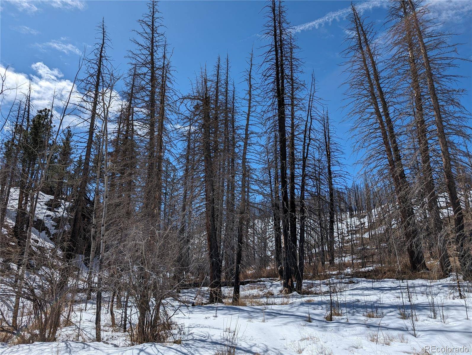 Bellvue, CO 80512,60 Powder Horn TRL