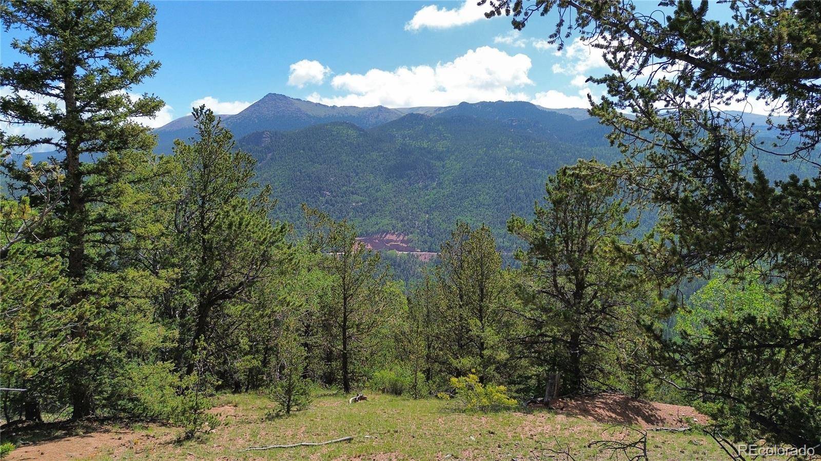 Divide, CO 80814,000 Four Mile RD