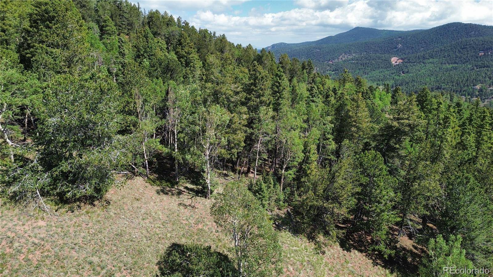Divide, CO 80814,000 Four Mile RD
