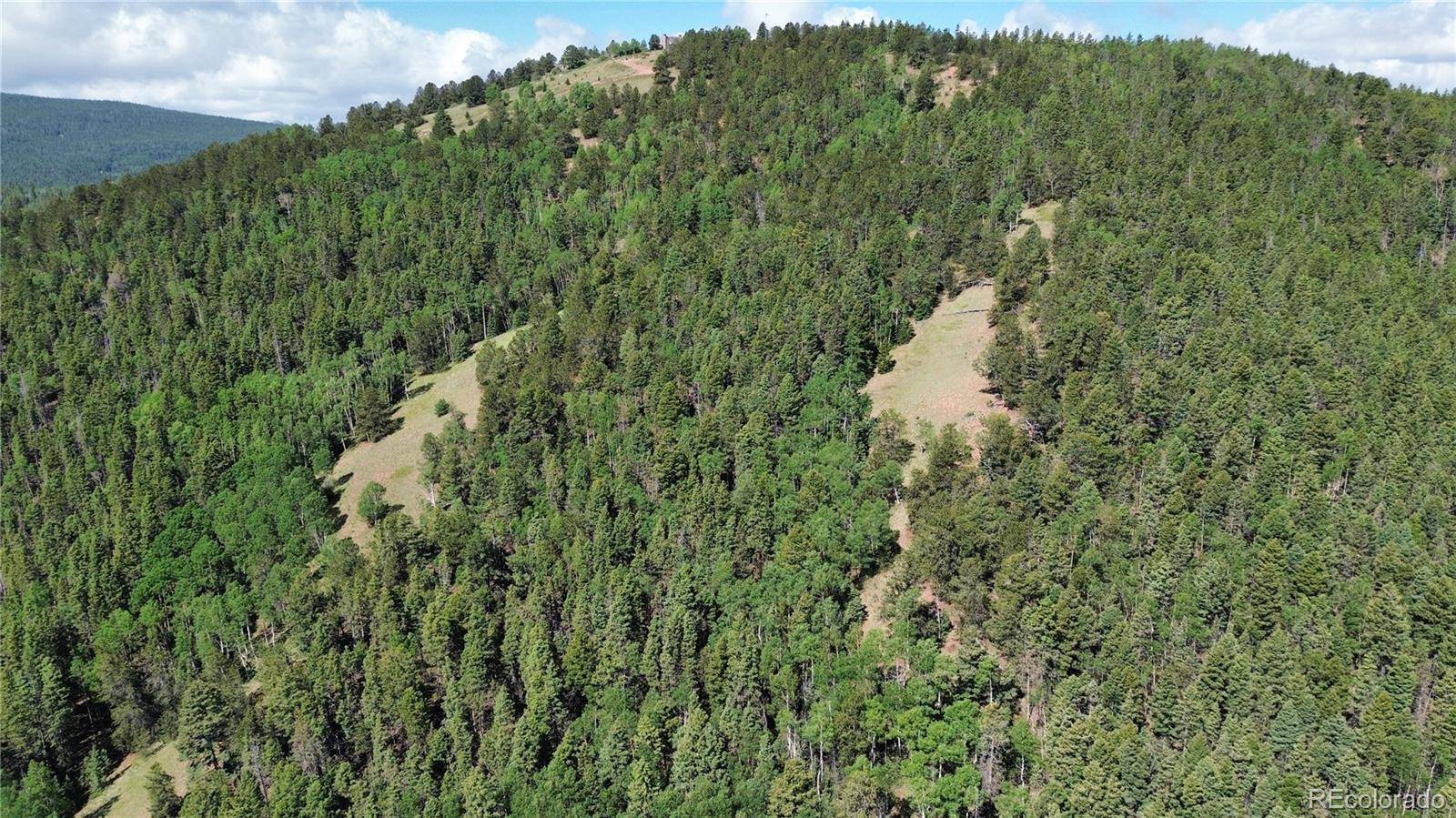 Divide, CO 80814,000 Four Mile RD