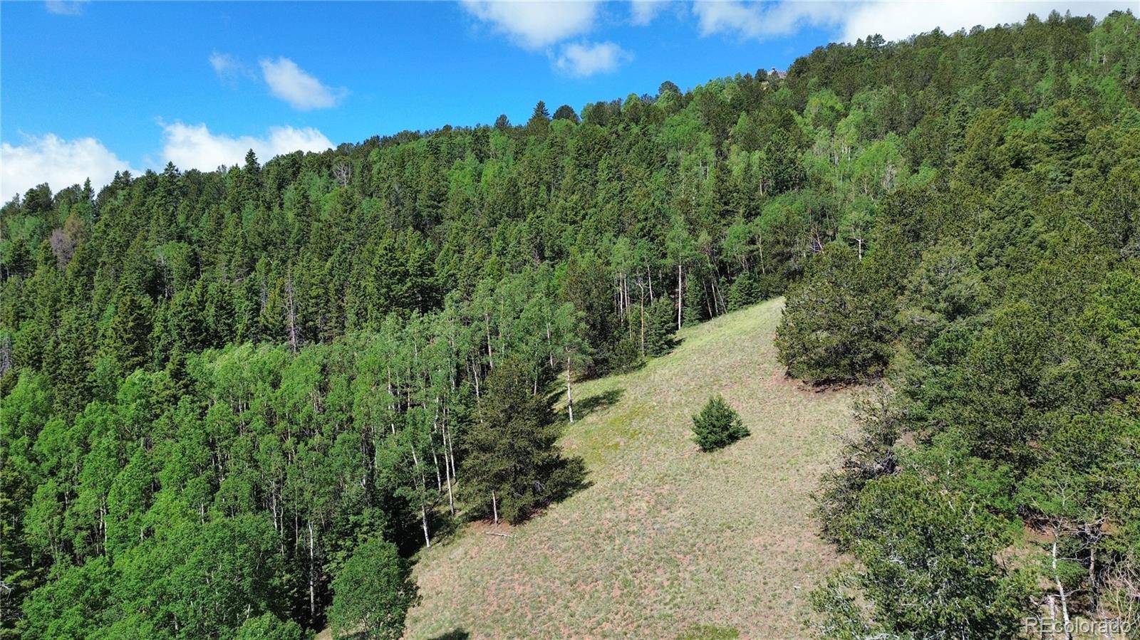 Divide, CO 80814,000 Four Mile RD