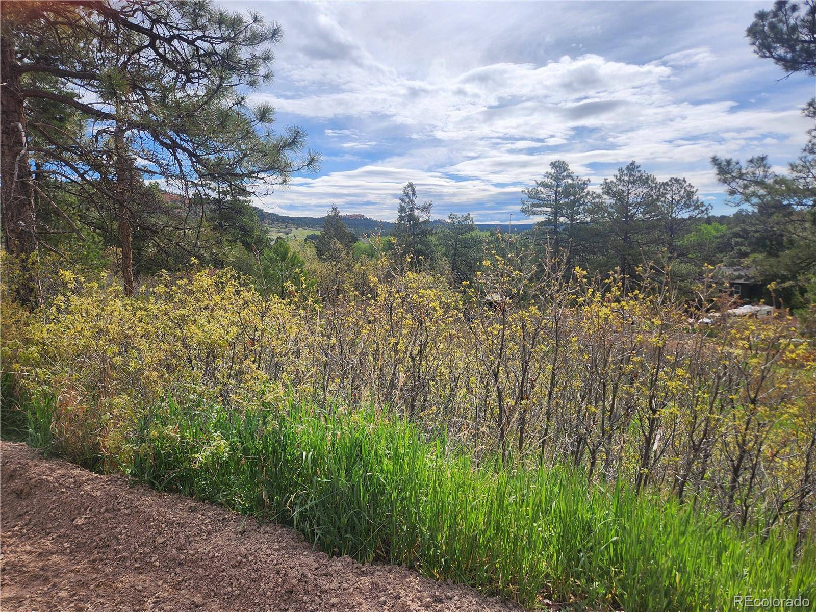 Palmer Lake, CO 80133,Buena Vista Ave AVE