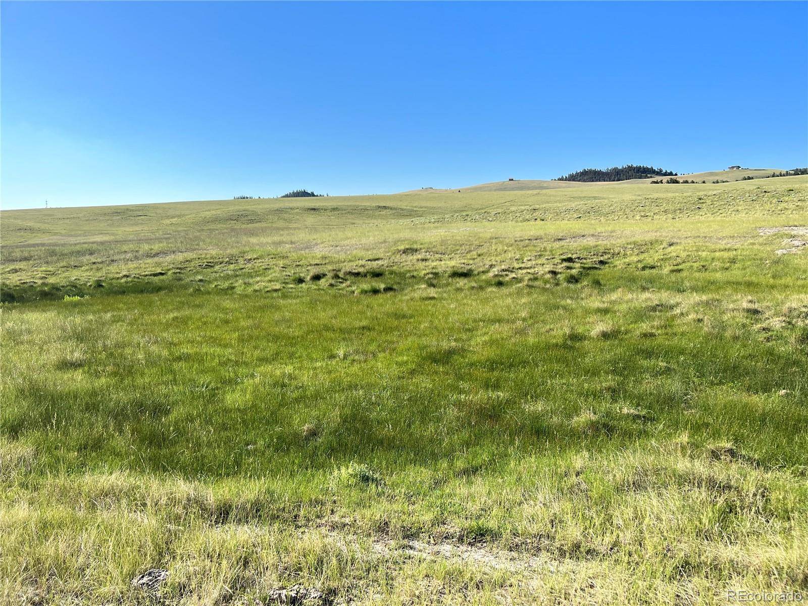 Hartsel, CO 80449,Ranch Road