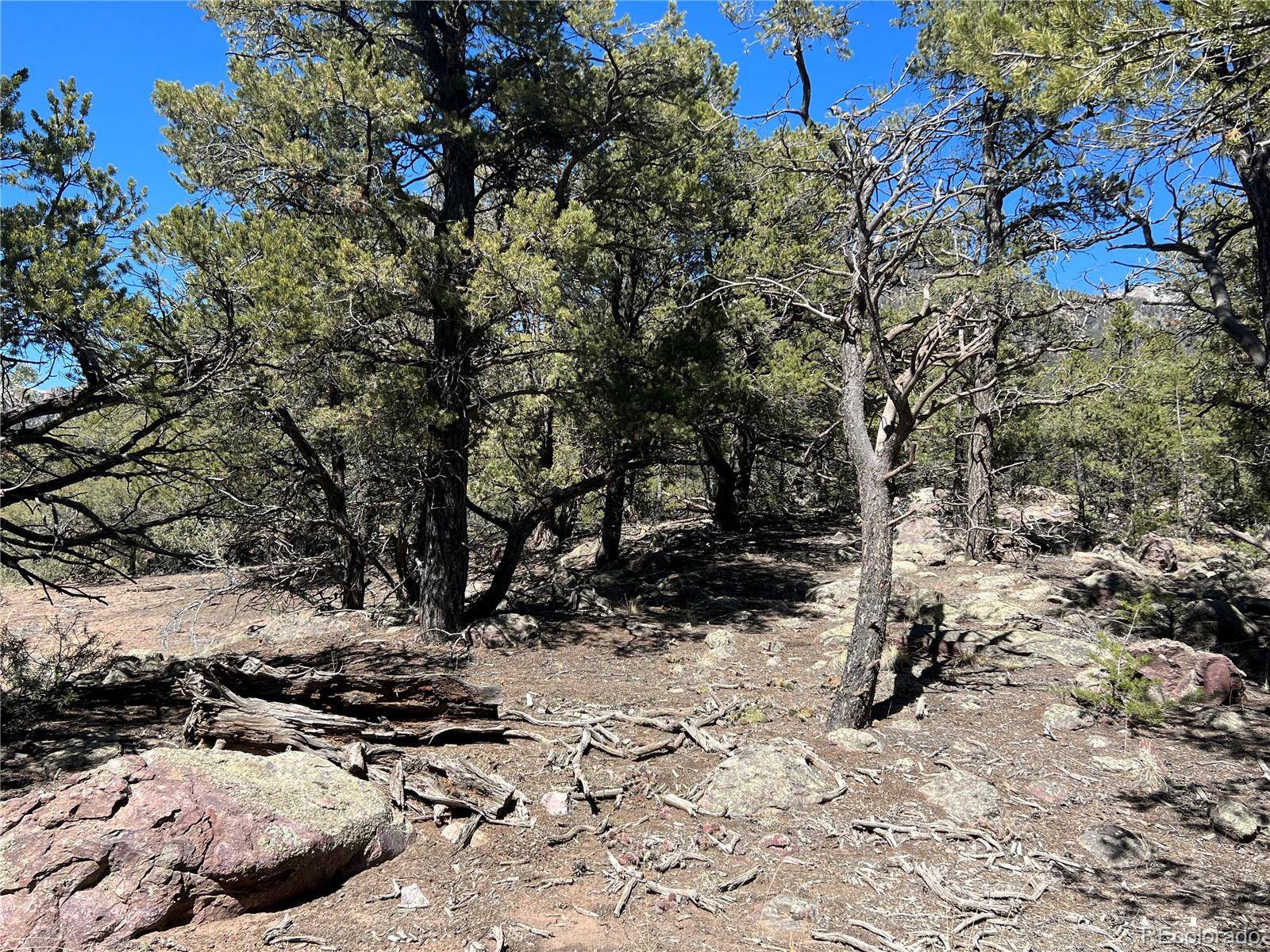 Crestone, CO 81131,812 Goldmine Ol