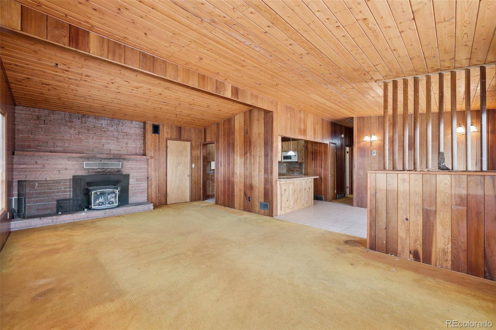 Woodland Park, CO 80863,150 Apache TRL