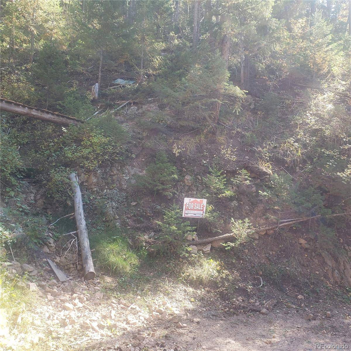 Evergreen, CO 80439,Backwoods Trail