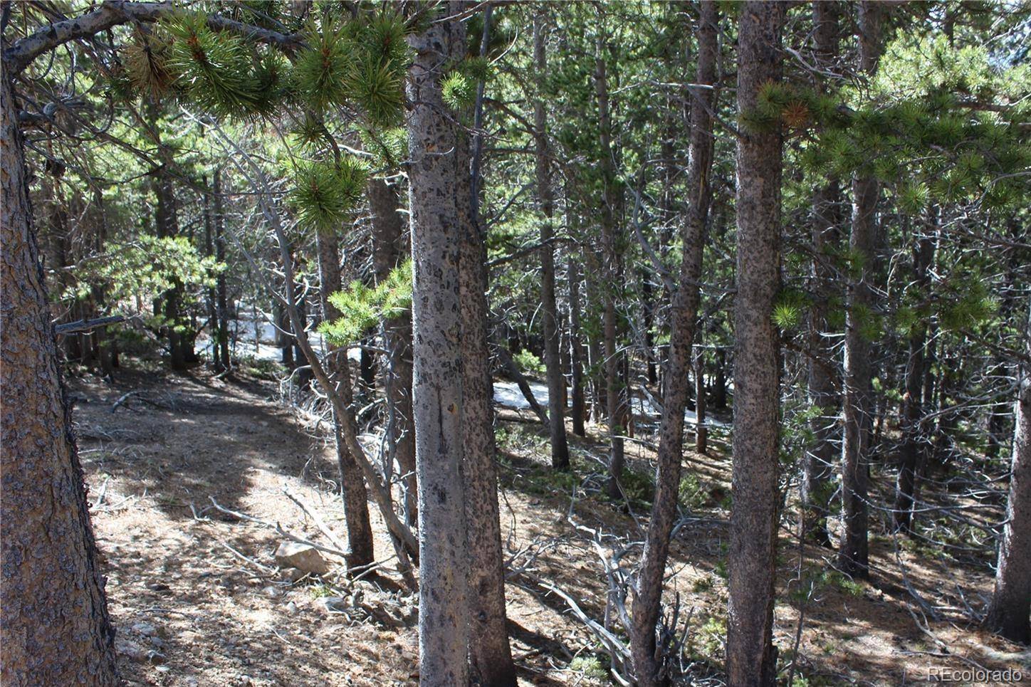 Idaho Springs, CO 80452,000 Silver Creek RD