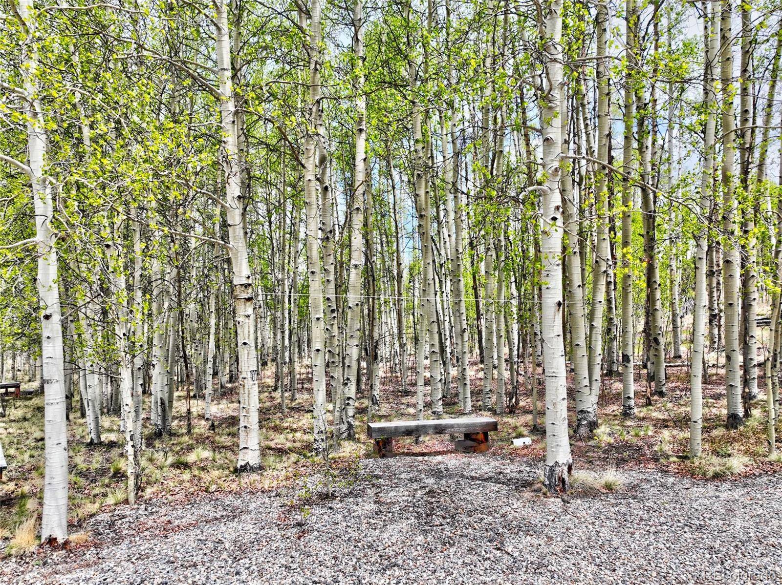 Como, CO 80432,142 Puma CT