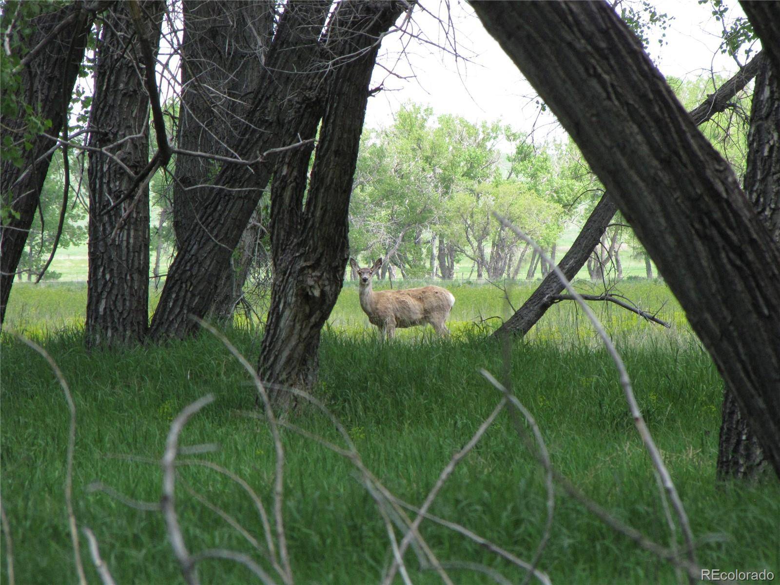 Matheson, CO 80830,39373 US Hwy 24