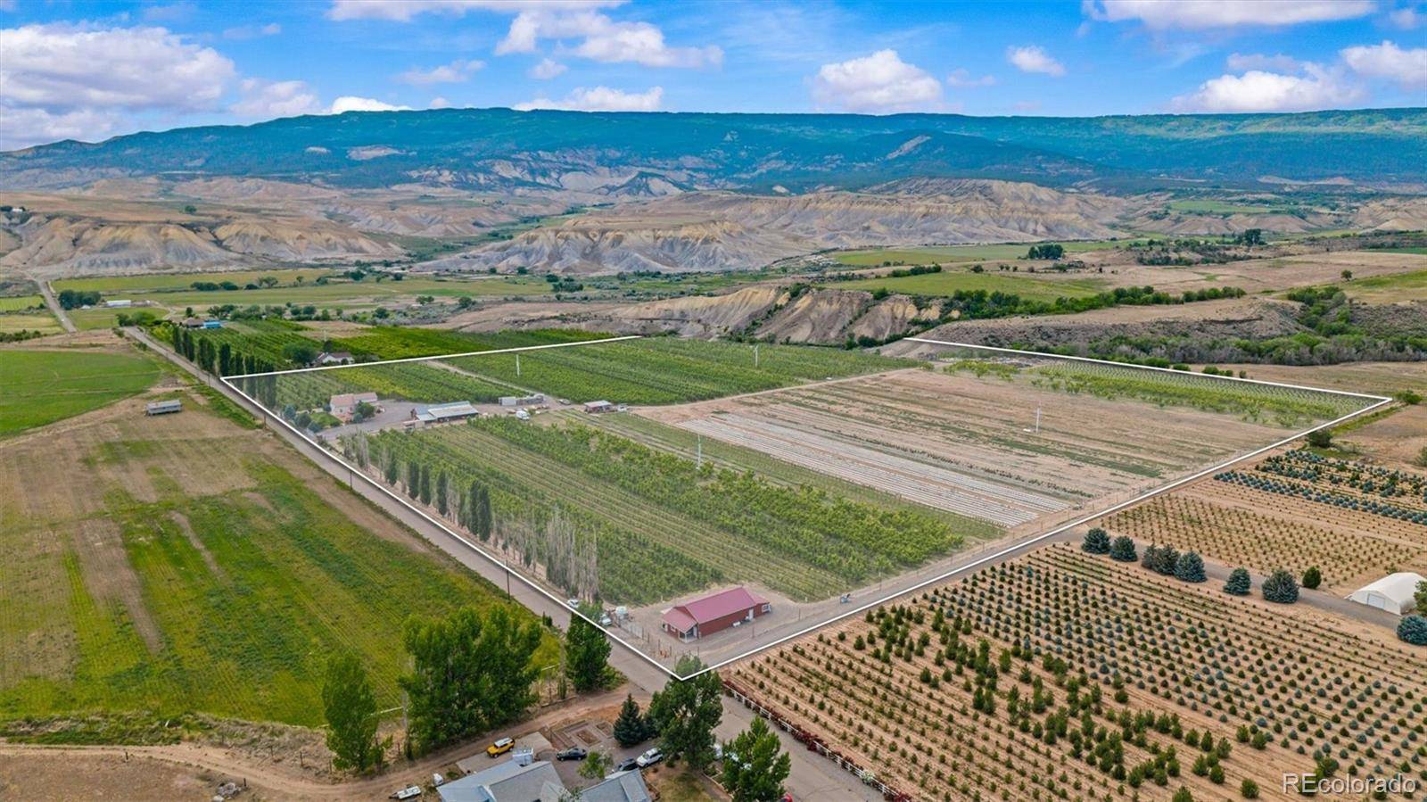 Eckert, CO 81418,20809 Nowhere RD