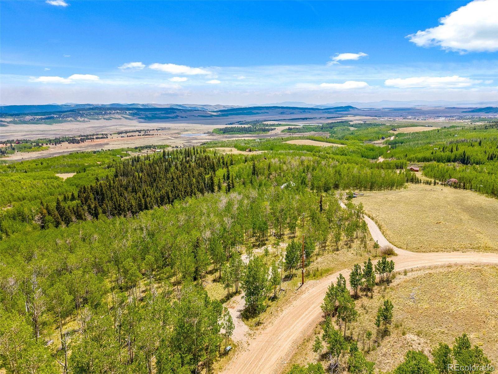 Fairplay, CO 80440,816 Little Baldy CIR
