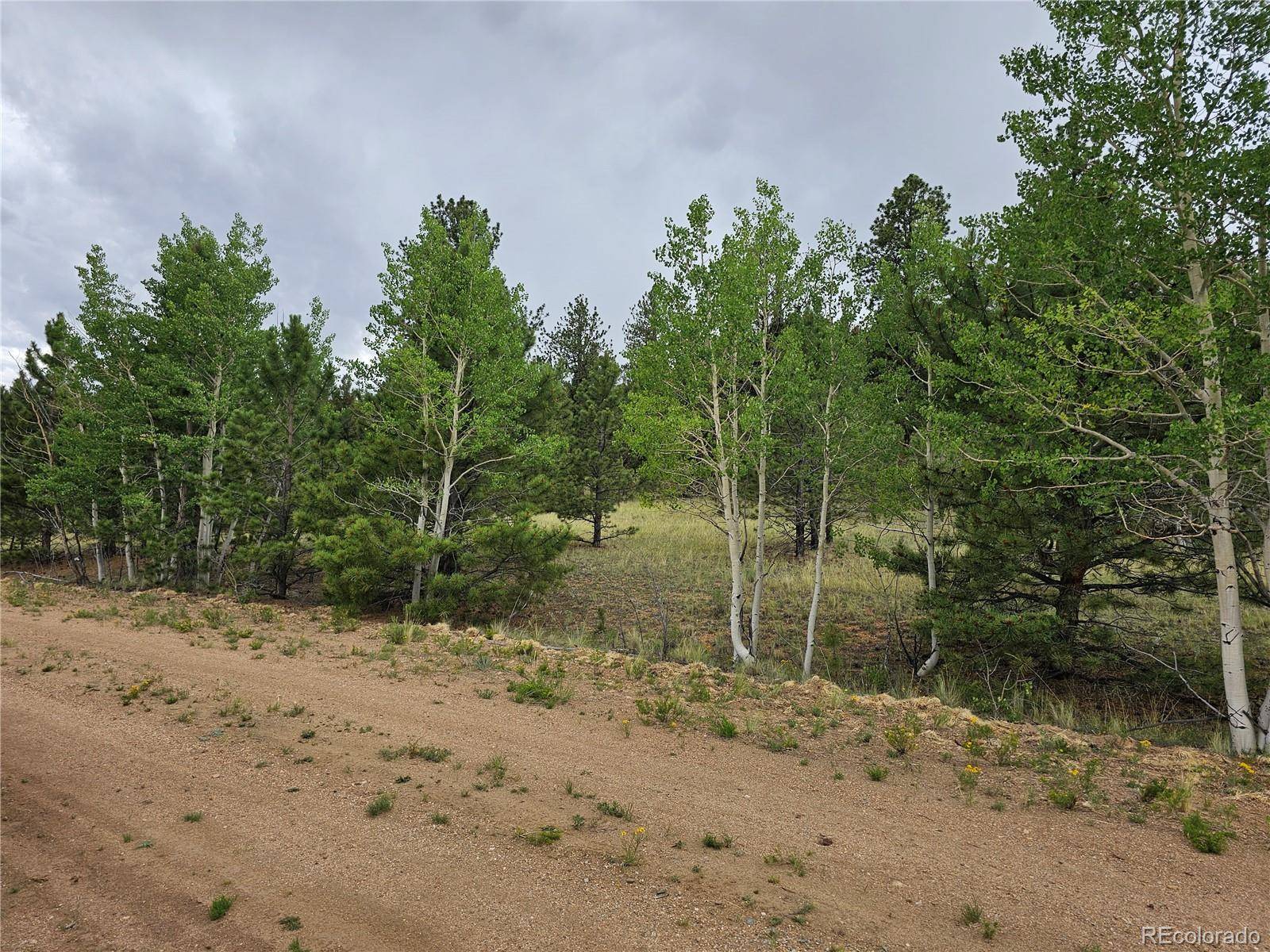 Hartsel, CO 80449,Huerfano DR