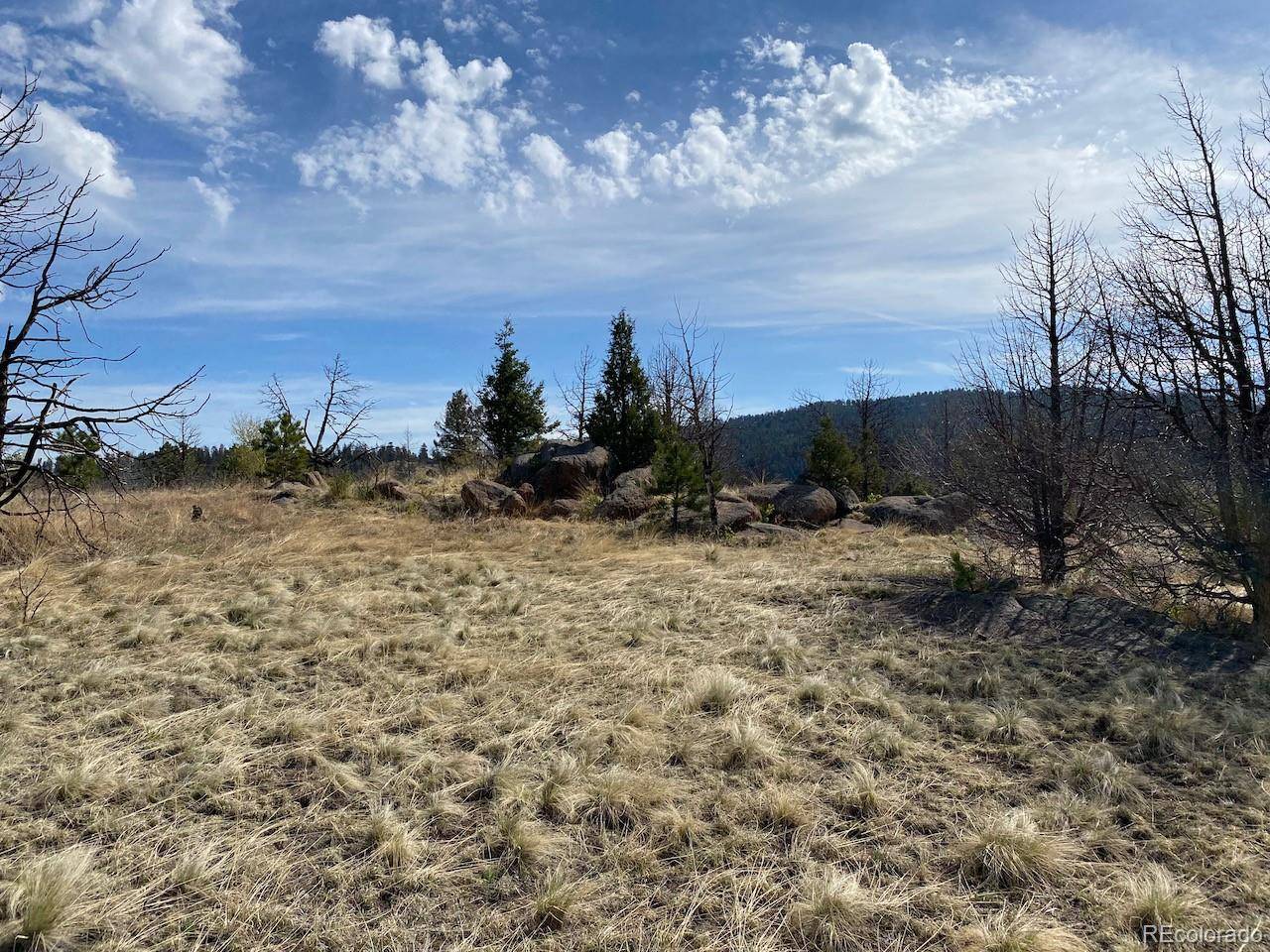 Florissant, CO 80816,106 Chateau Vista DR