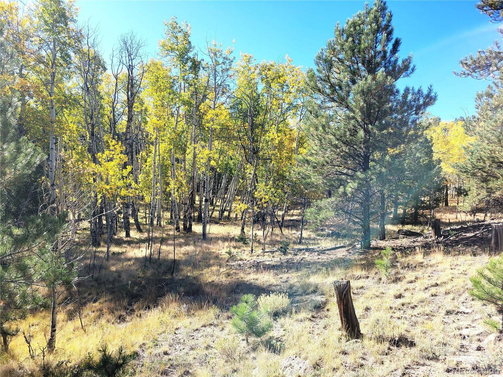 Florissant, CO 80816,#2 County Road 12