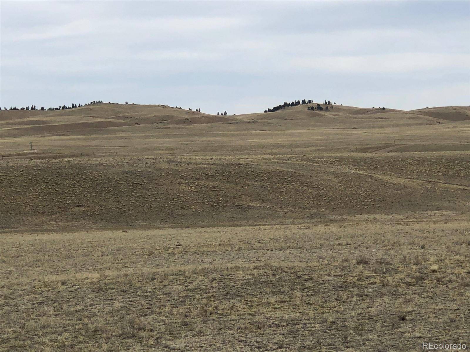 Hartsel, CO 80449,000 Lipan RD