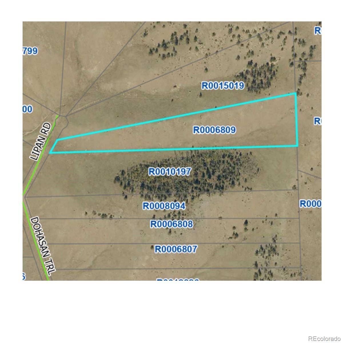 Hartsel, CO 80449,000 Lipan RD