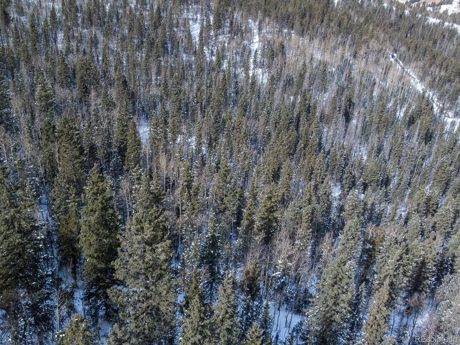 Cripple Creek, CO 80813,R0029767