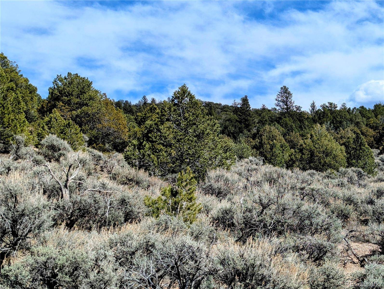 Fort Garland, CO 81133,7572 Dashiell RD