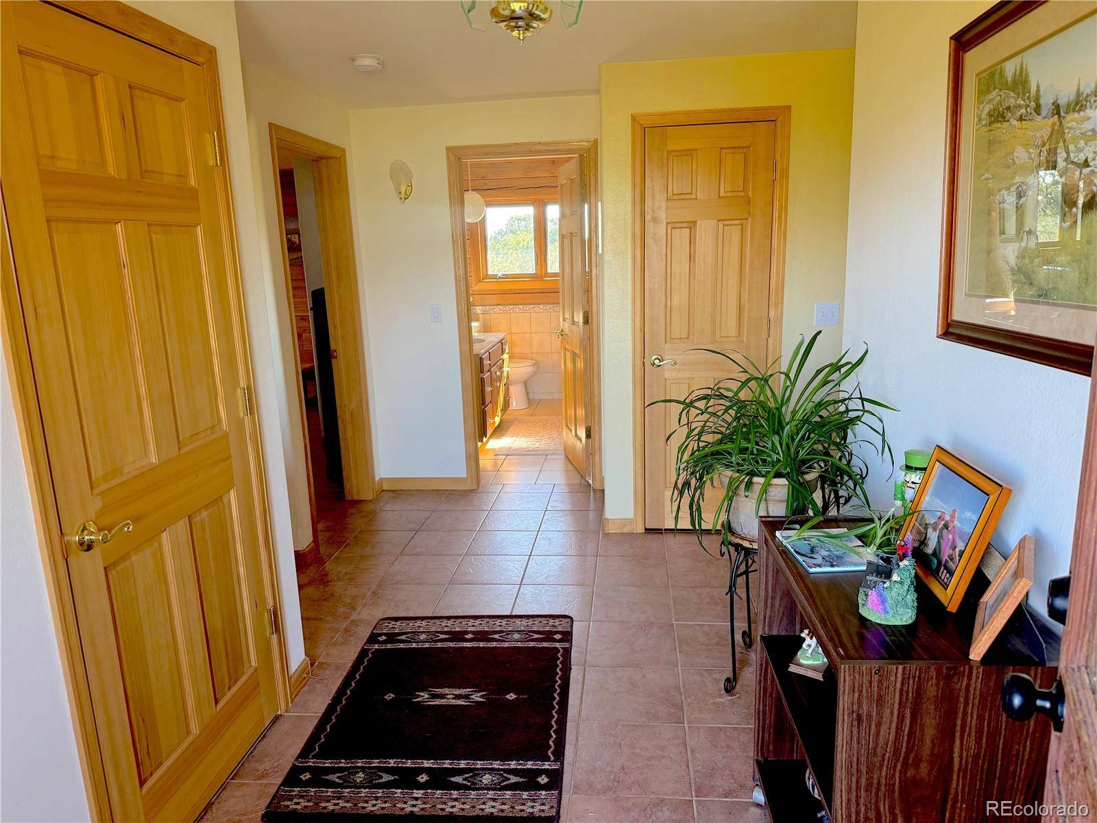 Cotopaxi, CO 81223,249 Hagerman RD