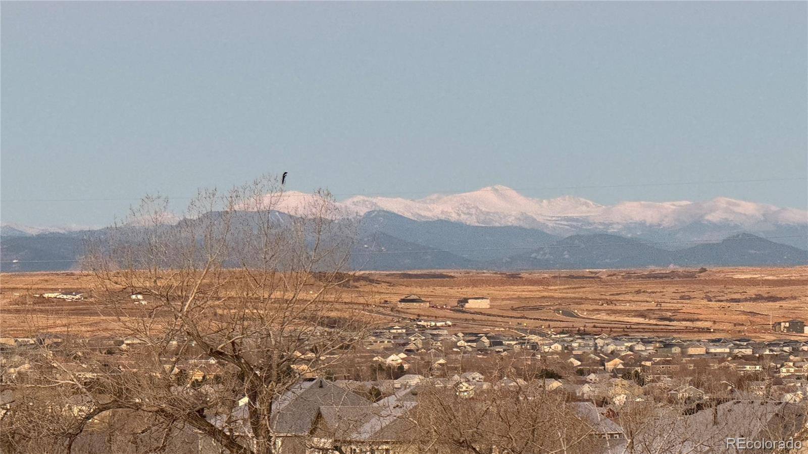 Parker, CO 80134,7363 Stroh RD