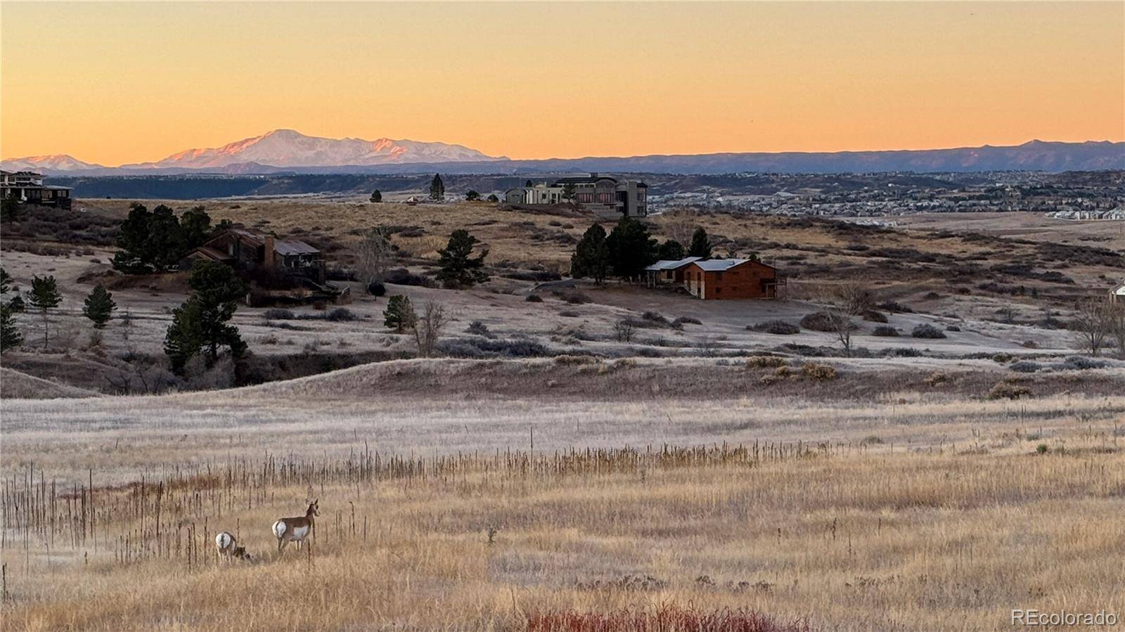 Parker, CO 80134,7363 Stroh RD