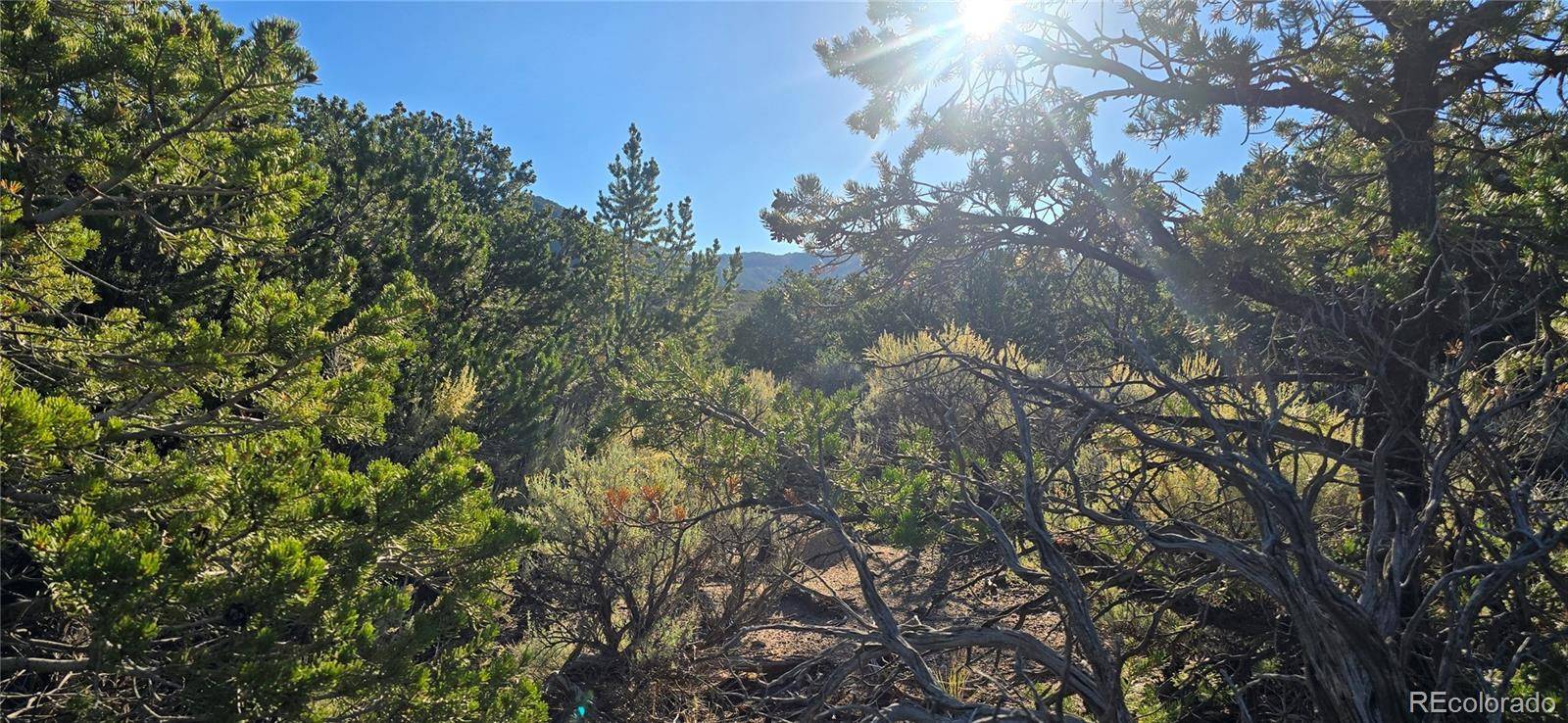 Fort Garland, CO 81133,Lot 1361 Dunn RD