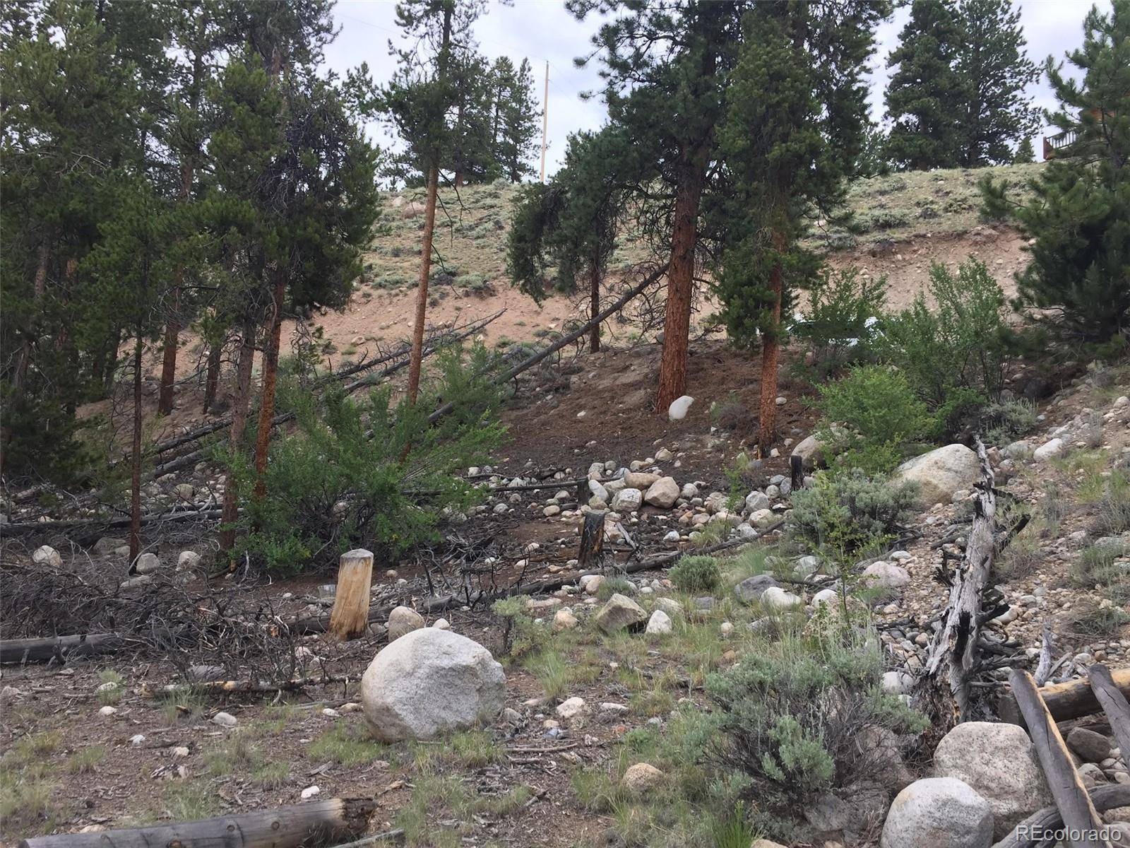 Twin Lakes, CO 81251,464 Parry Peak DR