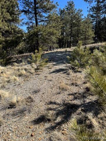 Hartsel, CO 80449,1931 Campfire RD