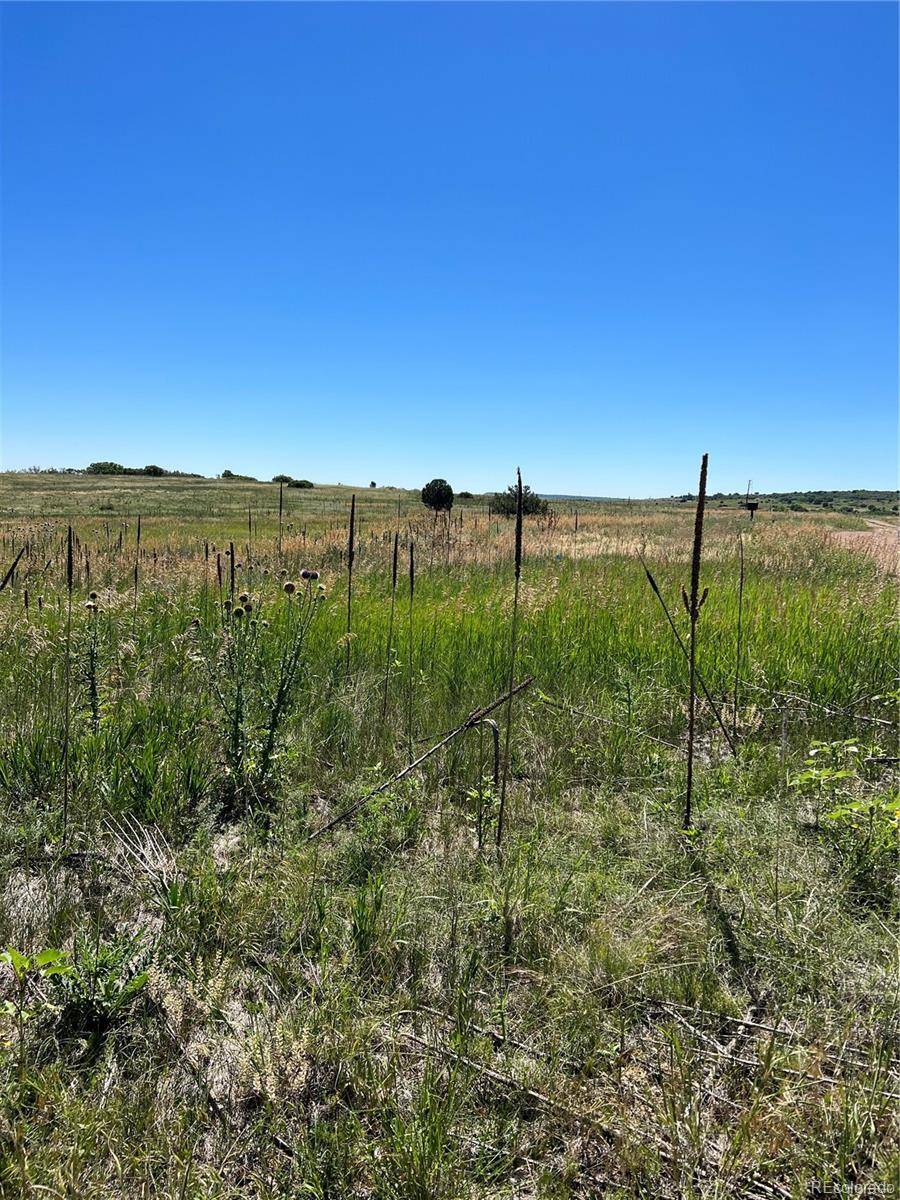 Colorado City, CO 81019,lot 24 Cole RD
