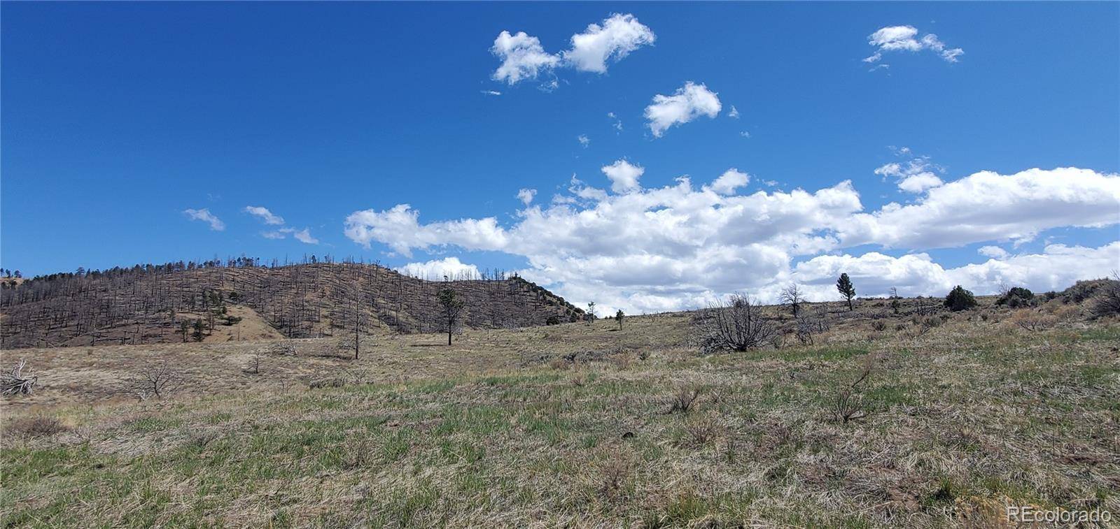 Fort Garland, CO 81133,Lot 7698 Marie RD