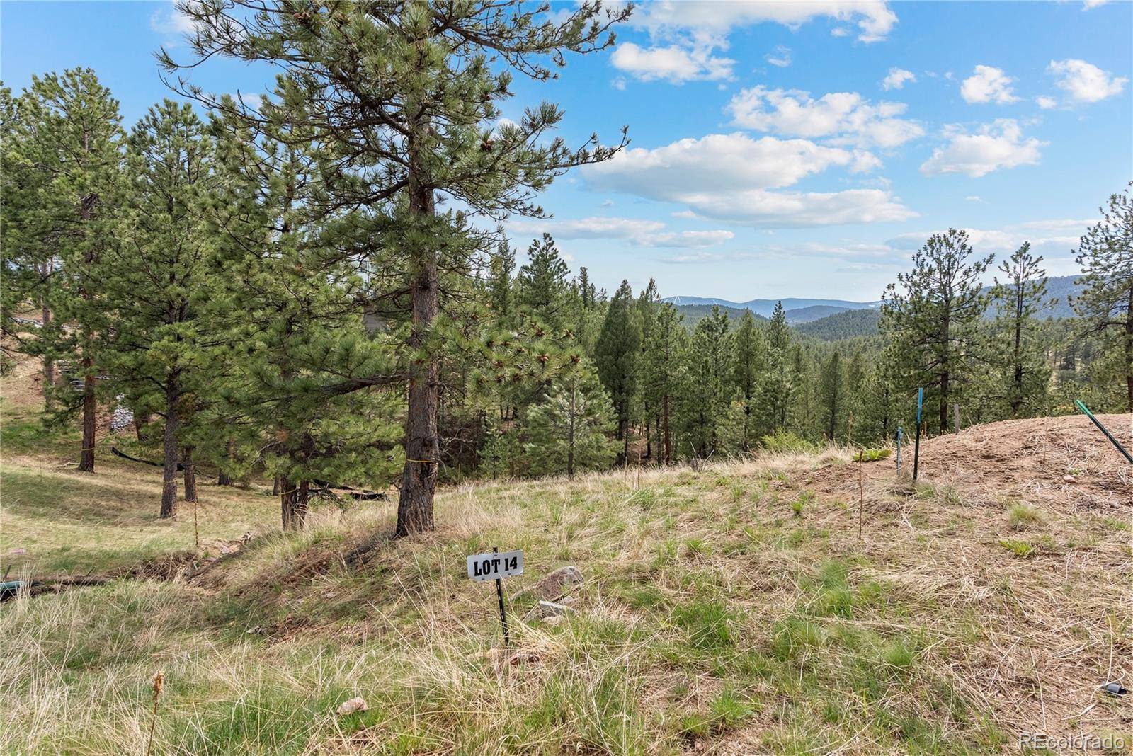 Evergreen, CO 80439,5207 Mountain Vista LN