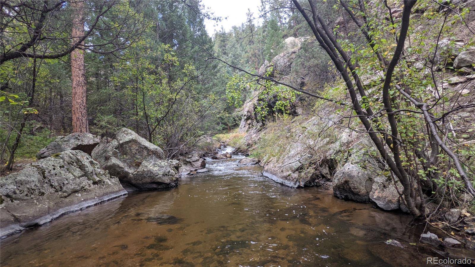 Bailey, CO 80421,598 Holmes Gulch RD