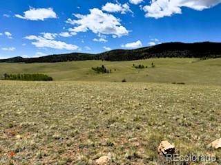 Hartsel, CO 80449,25 Sulky CT