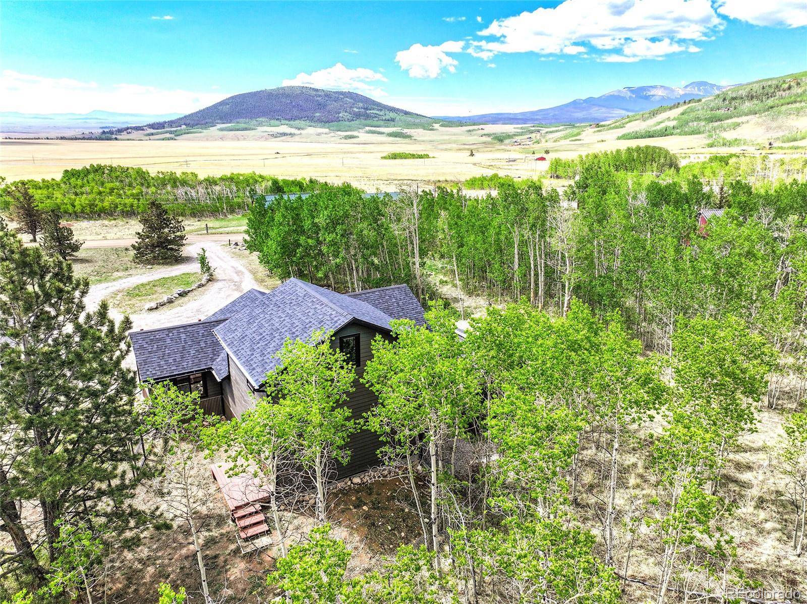 Fairplay, CO 80440,1424 Sheep Ridge RD