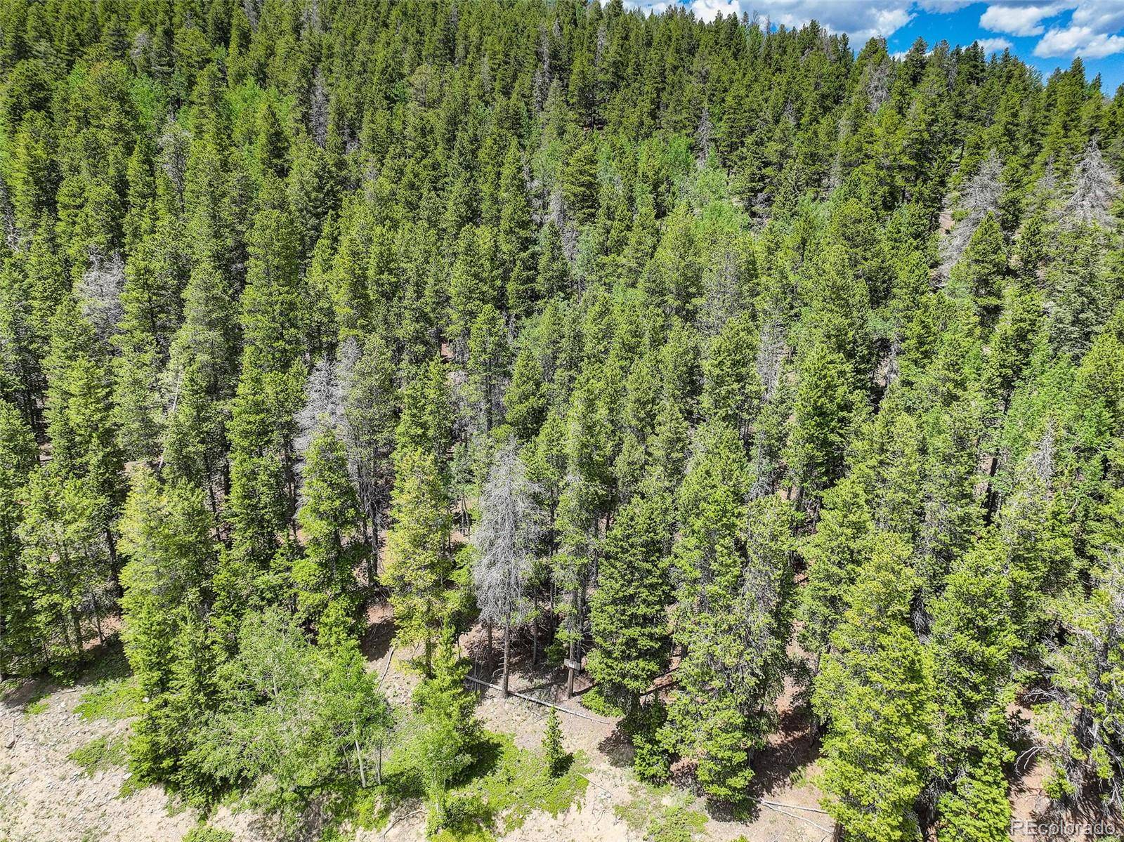 Evergreen, CO 80439,103 (Lot 36) Lodgepole DR