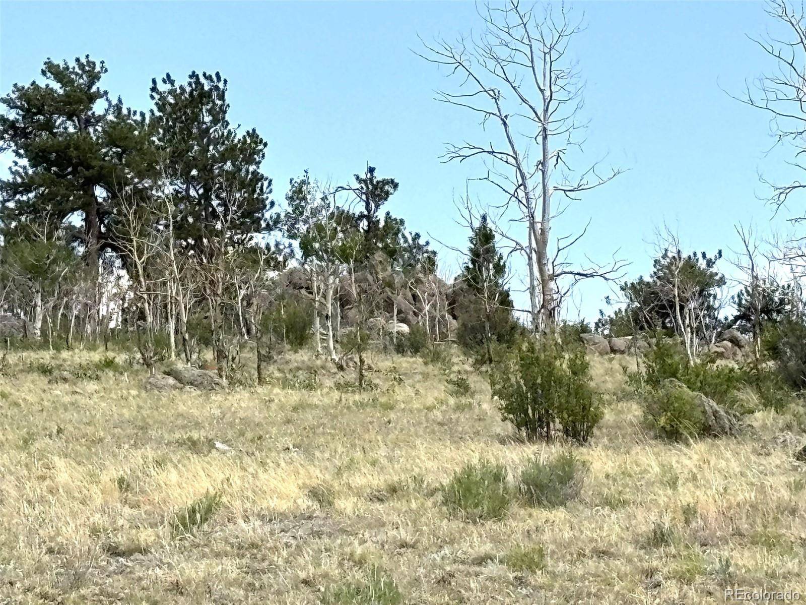 Hartsel, CO 80449,1750 Mahican RD