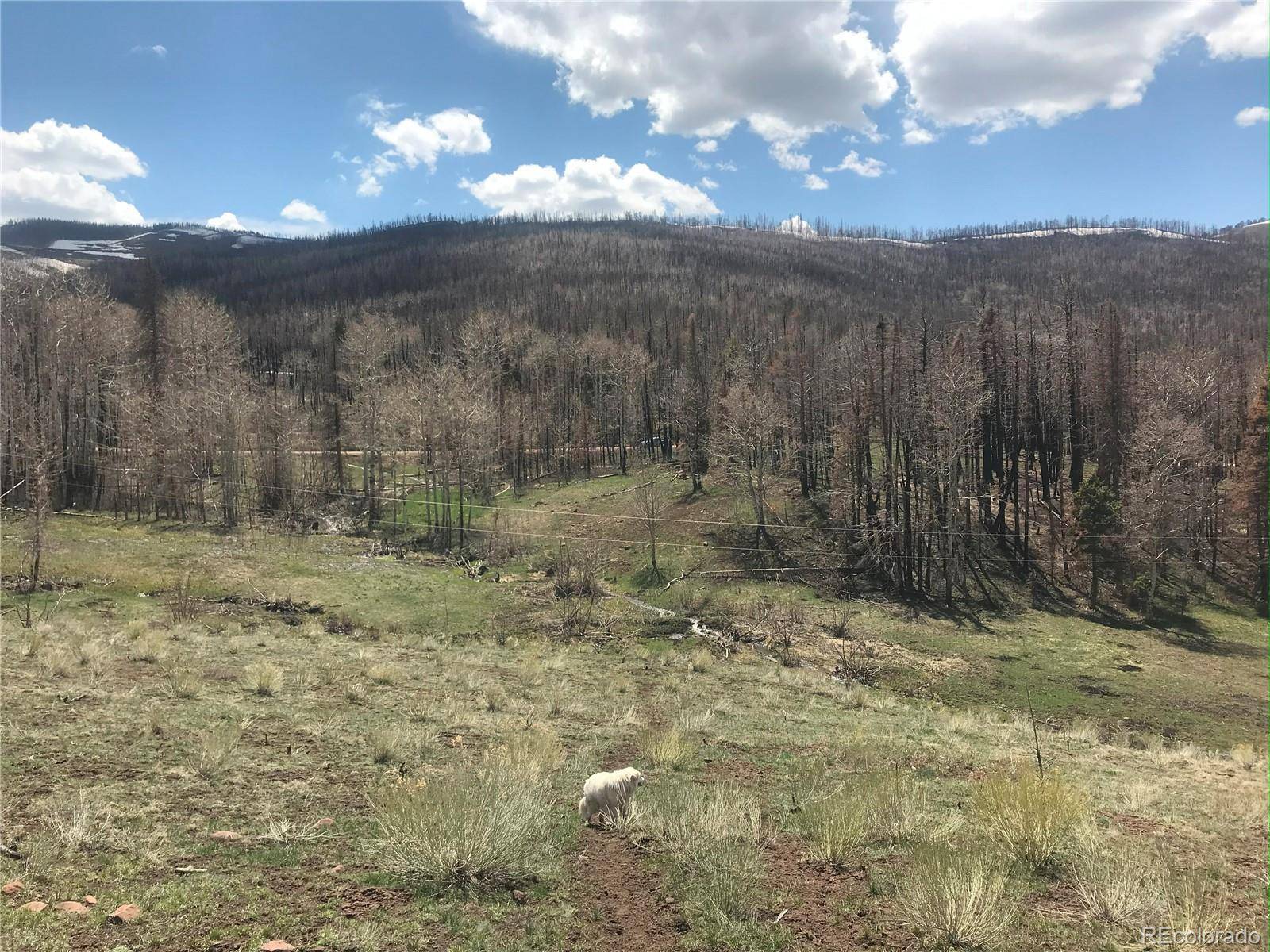 Fort Garland, CO 81133,954 Forbes Park RD