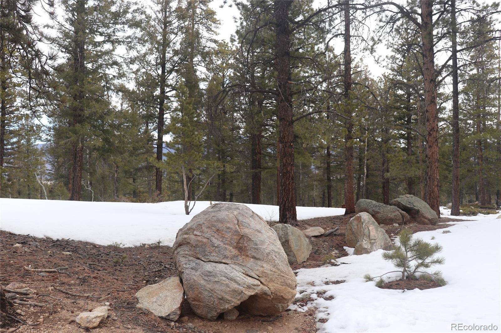 Buena Vista, CO 81211,Aspen Turn