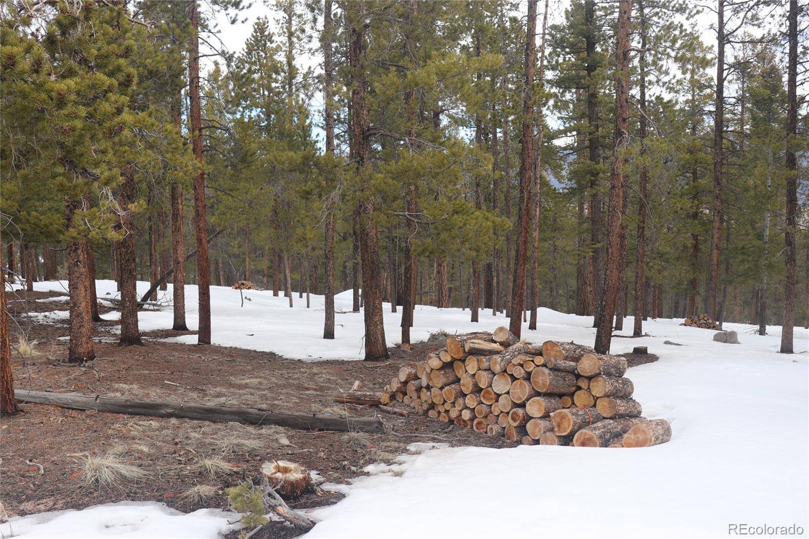 Buena Vista, CO 81211,Aspen Turn