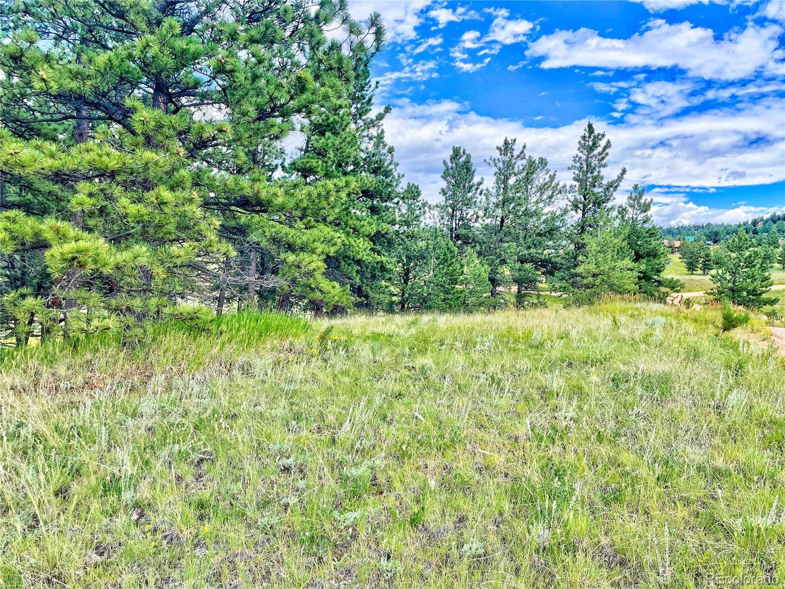 Florissant, CO 80816,1379 S Mountain Estates RD