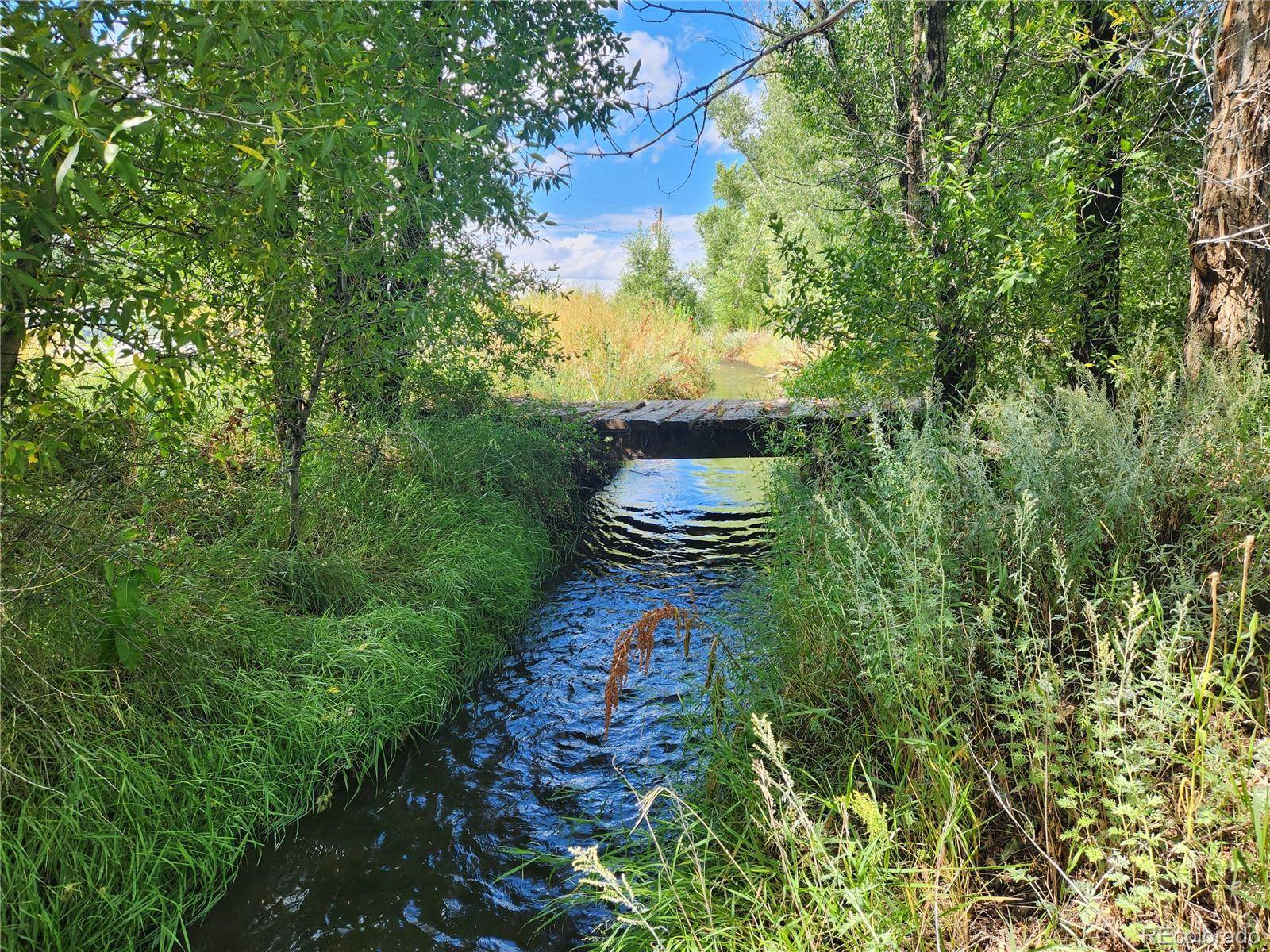 Antonito, CO 81120,0000 State ST