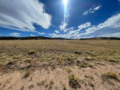 Hartsel, CO 80449,Black Beaver TRL